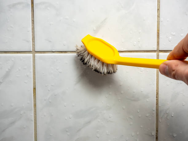 Best Residential Mold Remediation in Dayton, TN